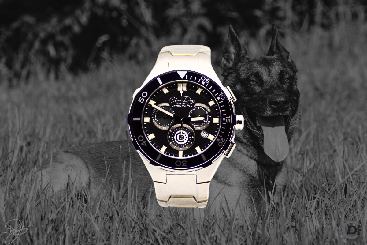 Toronto Metropolitan - ClockDogs